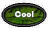 $t xx