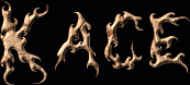 Kace First Name