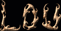 Lou First Name