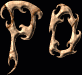 Po First Name
