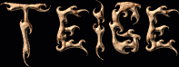 Teige First Name