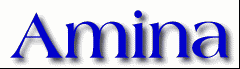 Amina First Name