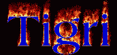 Tigri First Name