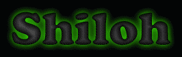 Shiloh First Name