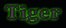 Tiger First Name