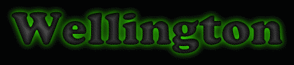 Wellington First Name