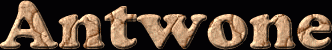 Antwone First Name