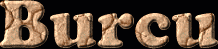 Burcu First Name