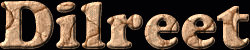 Dilreet First Name