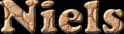 Niels First Name
