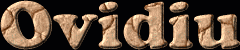 Ovidiu First Name