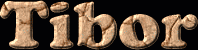Tibor First Name