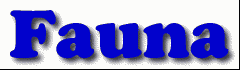 Fauna First Name