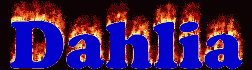 Dahlia First Name