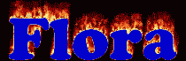 Flora First Name
