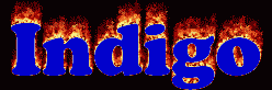 Indigo First Name