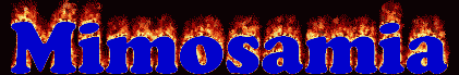 Mimosamia First Name