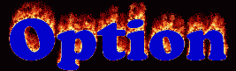 Option First Name