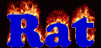 Rat First Name