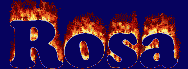 Rosa First Name