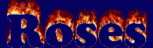 Roses First Name