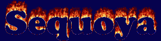 Sequoya First Name
