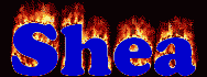Shea First Name