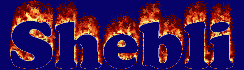Shebli First Name