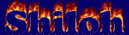 Shiloh First Name