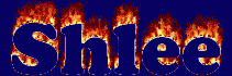 Shlee First Name