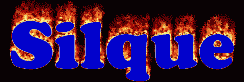 Silque First Name