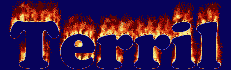 Terril First Name
