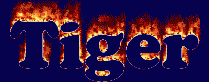 Tiger First Name