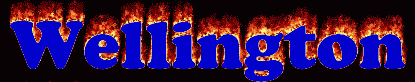Wellington First Name